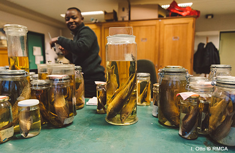 Internships & Scientific visits